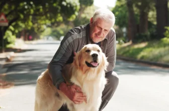 How Can You Help an Old Dog With Arthritis Naturally?