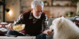 What Are the Best Products for Senior Dogs in 2026?