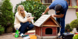 Complete Guide to Caring for Aging Pets